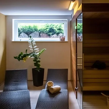 With Terrace And Garden Close To Vienna Villa *