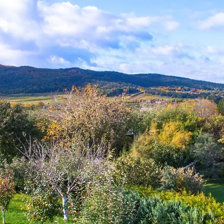 With Terrace And Garden Close To Vienna Villa Brunn am Gebirge