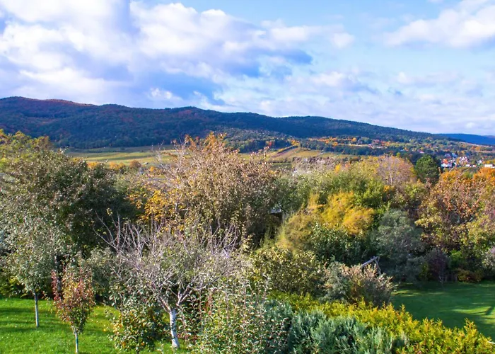 With Terrace And Garden Close To Vienna Villa Brunn am Gebirge